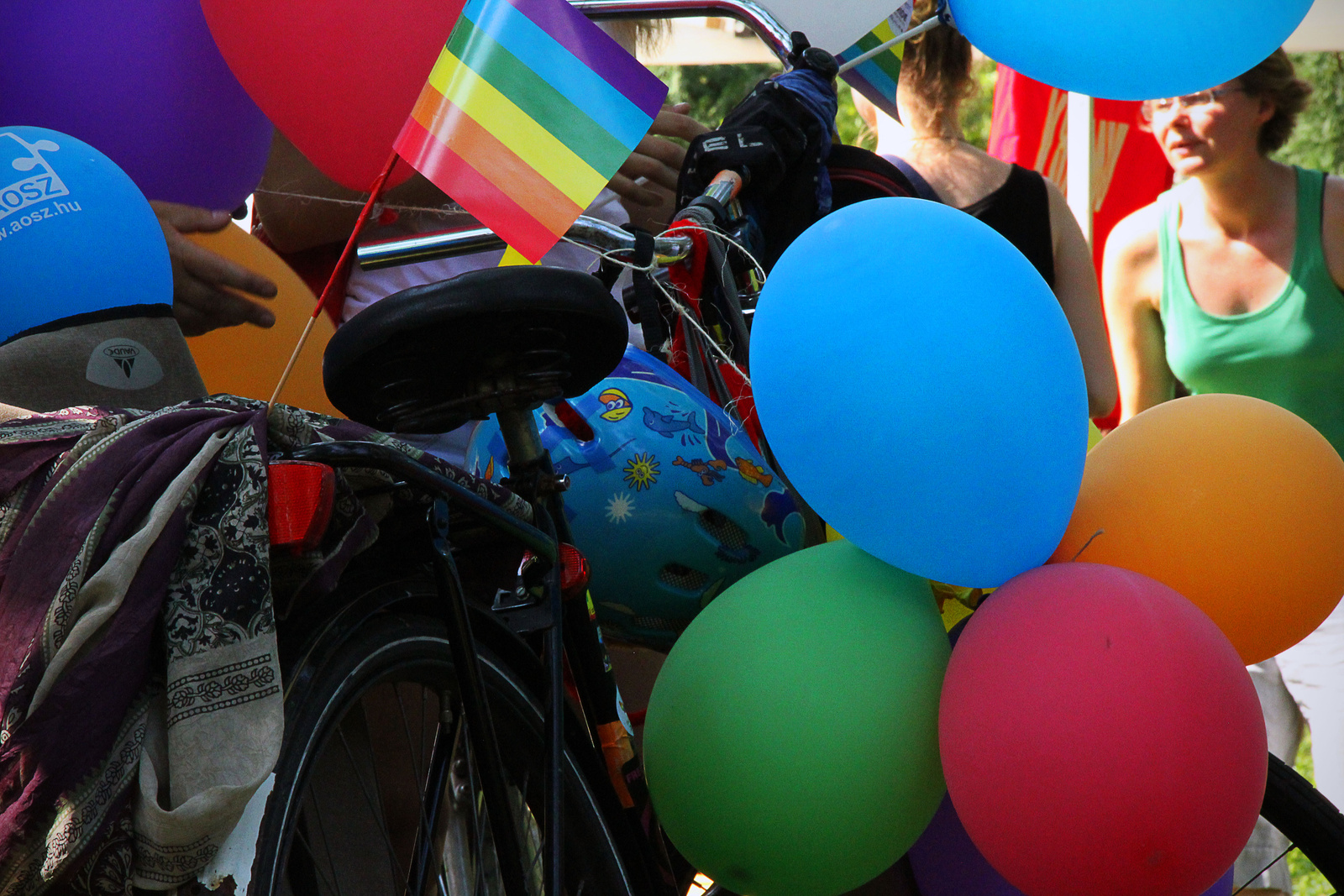 pride bike