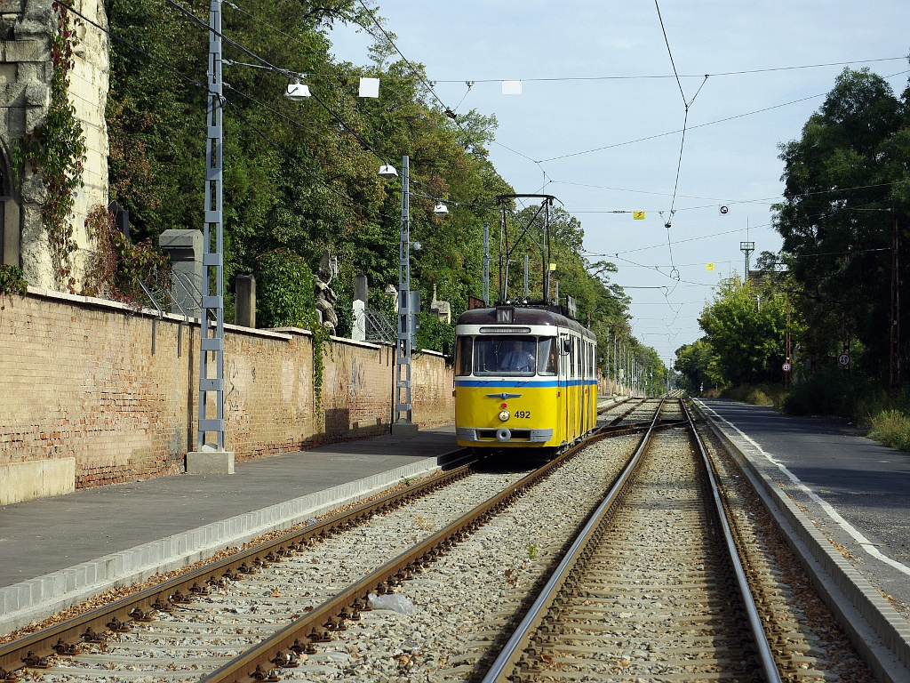 Bengáli a Salgótarjáni úton (a temetőnél)02 2012.09.29