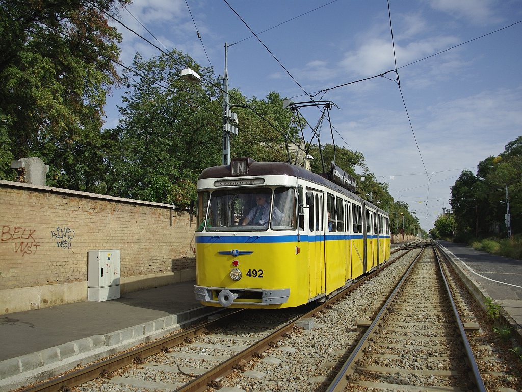 Bengáli a Salgótarjáni úton (a temetőnél)05 2012.09.29