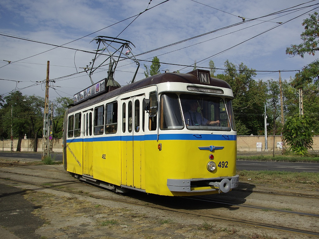 Bengáli a Salgótarjáni úton (a temetőnél)07 2012.09.29