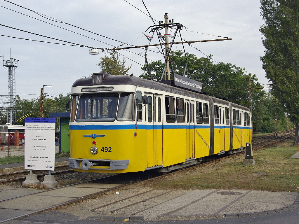 Bengáli a Salgótarjáni úton (a troligarázsnál)28 2012.09.29