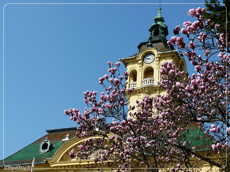 2012-Szeged 042