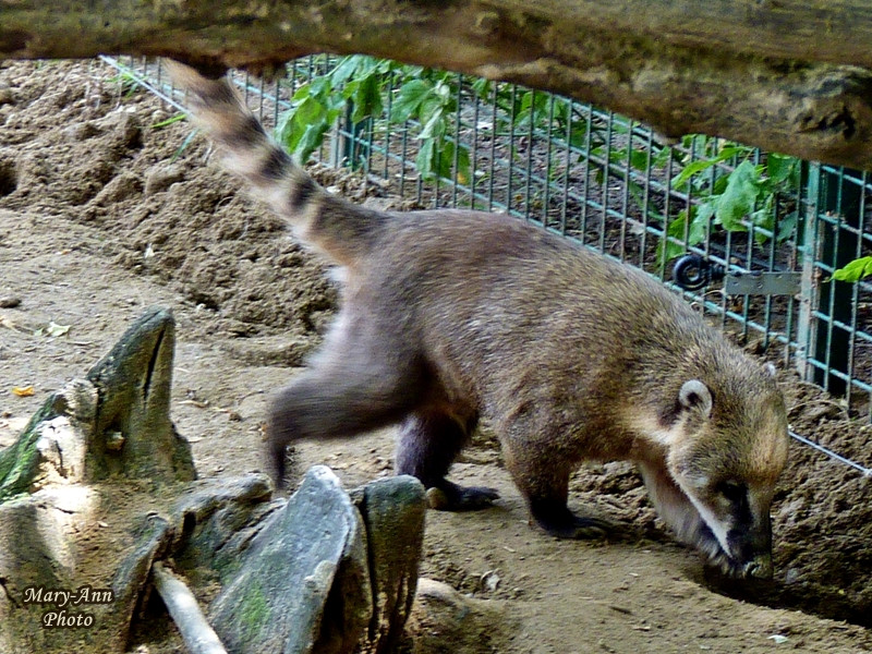 2014-07-12-14 Gyöngyösi Kirándulás 175