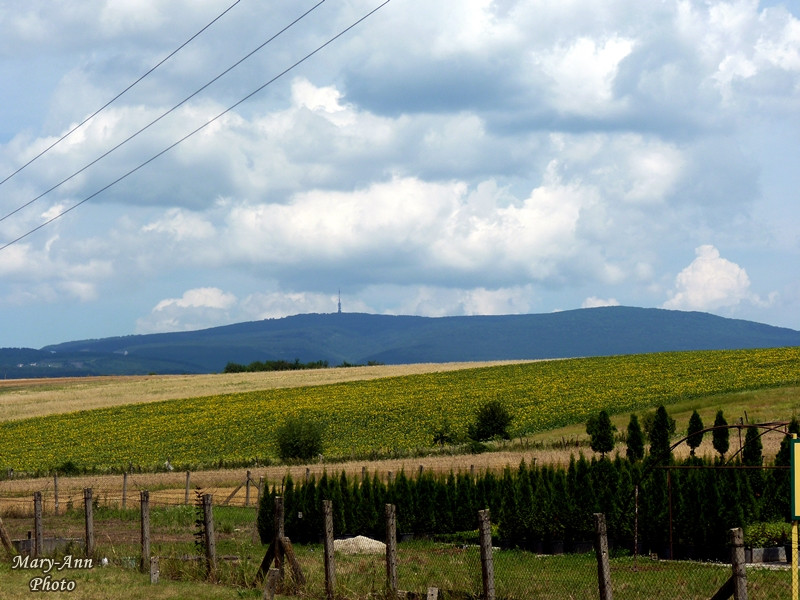 2014-07-12-14 Gyöngyösi Kirándulás 271