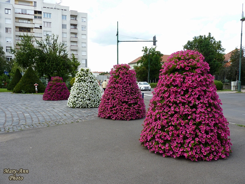 2014-07-12-14 Gyöngyösi Kirándulás 320