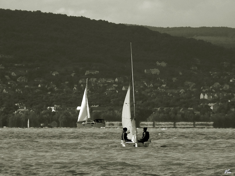 Panasonic balaton 041