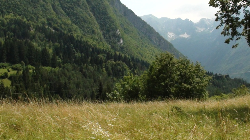 196 05029 Kranjska Gora