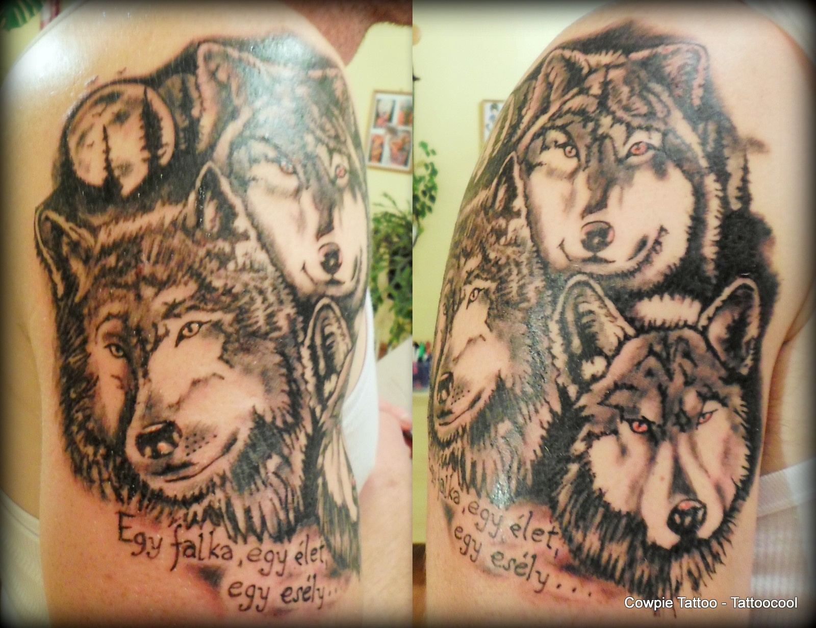 Wolf tattoo