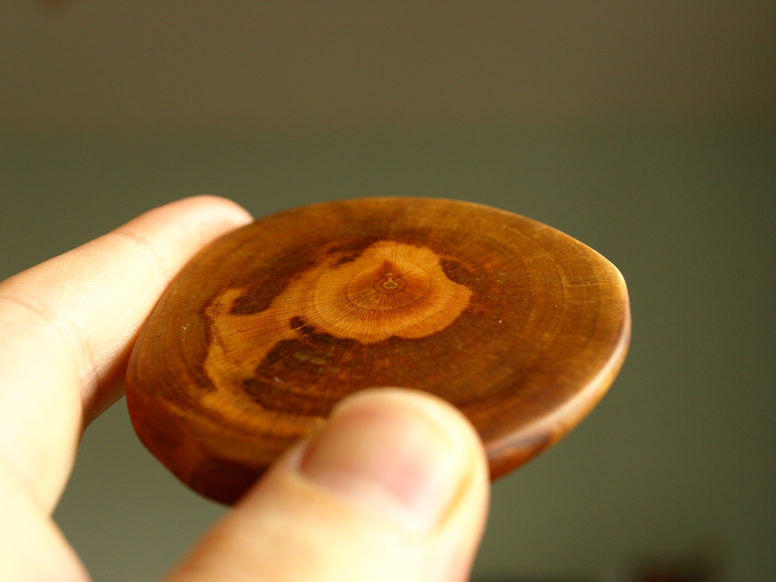 Kézzel készült egyedi szilvafa teáscsésze alátét