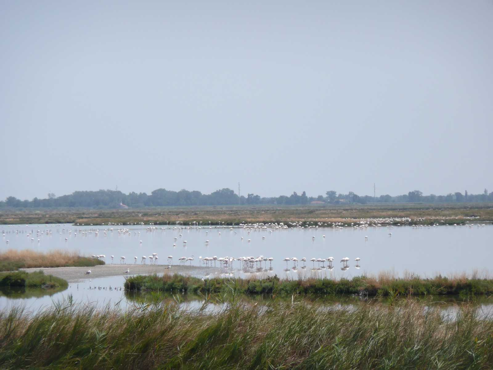 0842-Comacchio