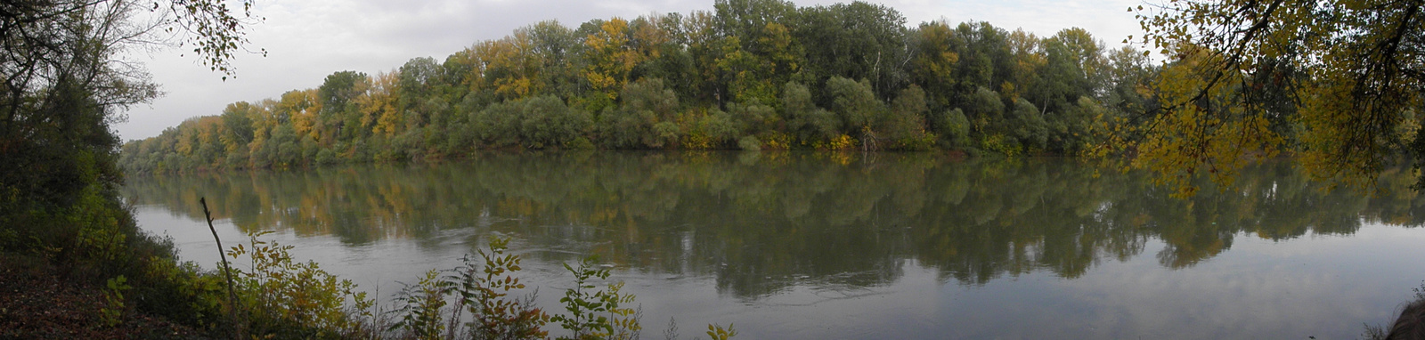 Tisza panoráma4