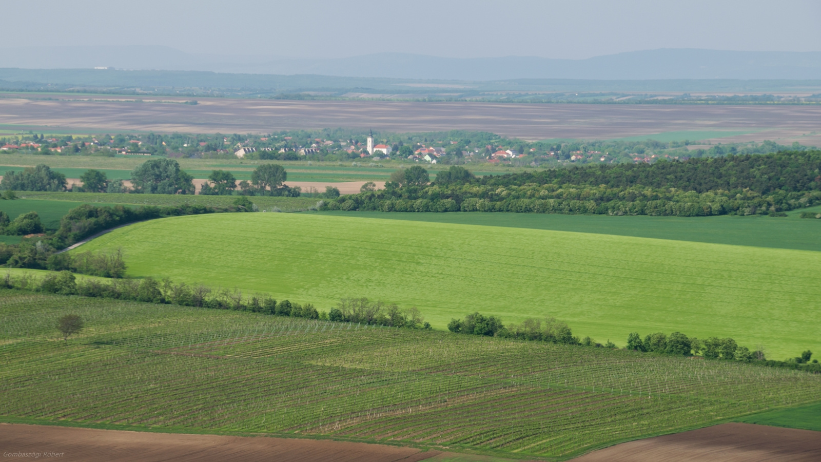 Tavaszi határ