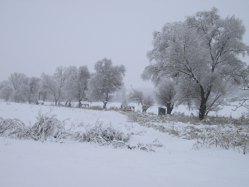 Pogányi tó 008