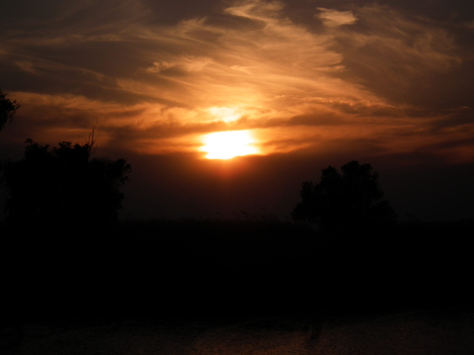 Lányok, Balaton (2)