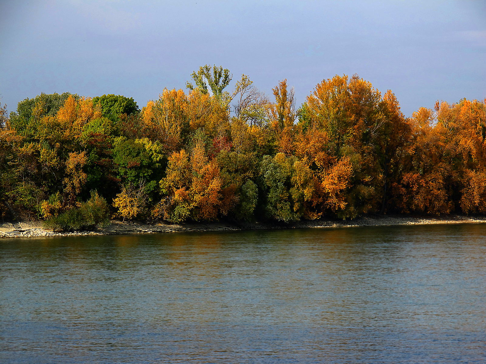 aranyló Duna part