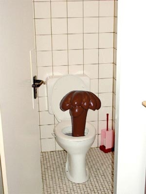 toilett shit