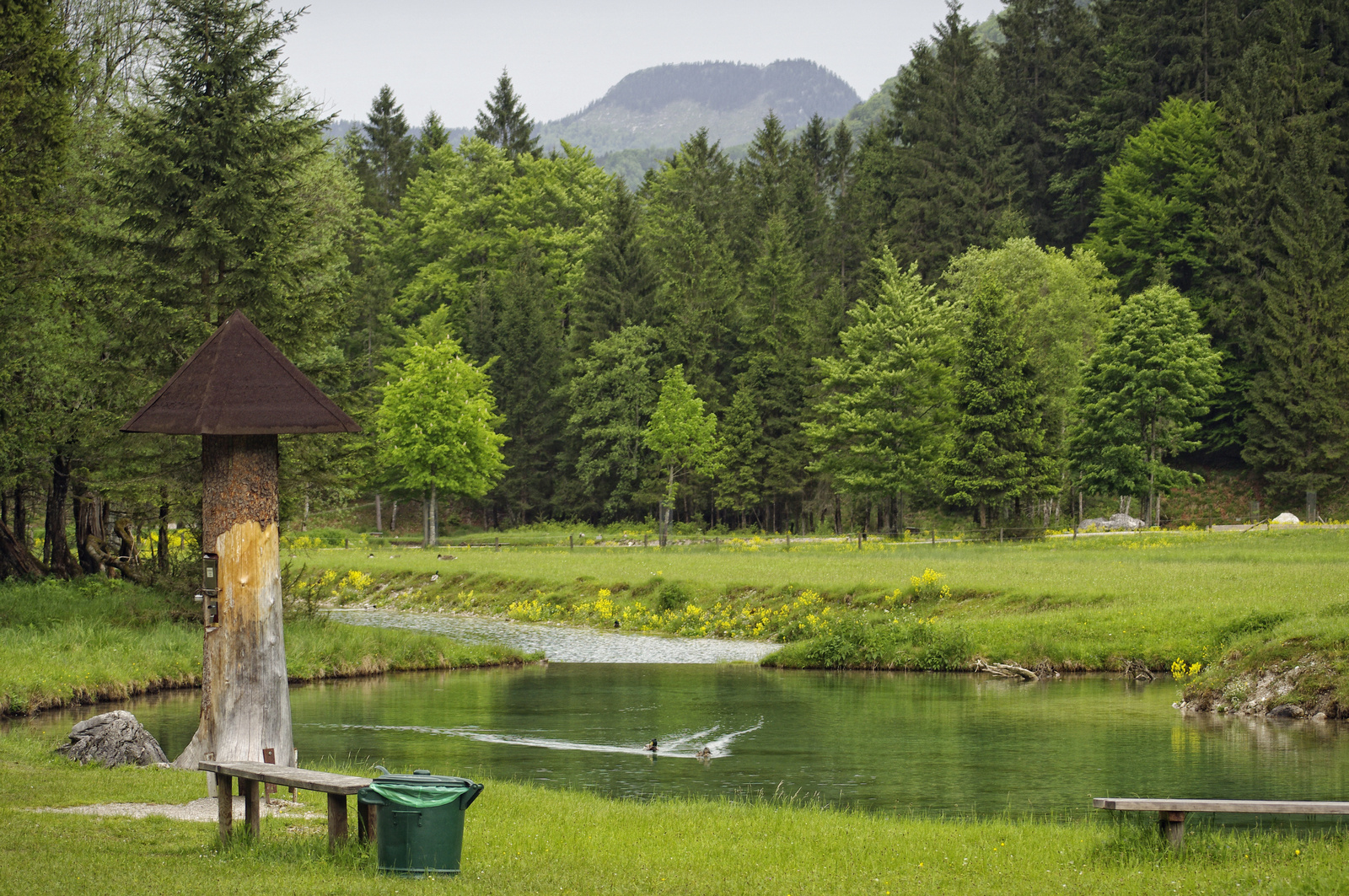 Cumberland Wild Park - Grünau