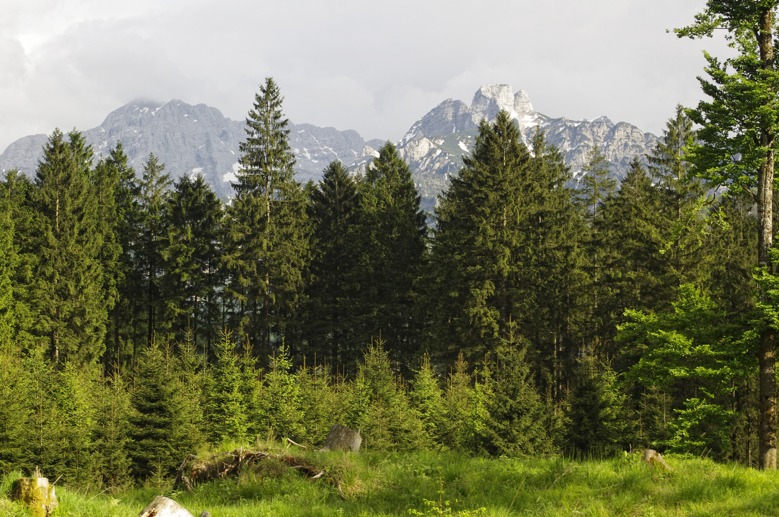 Cumberland Wild Park - Grünau