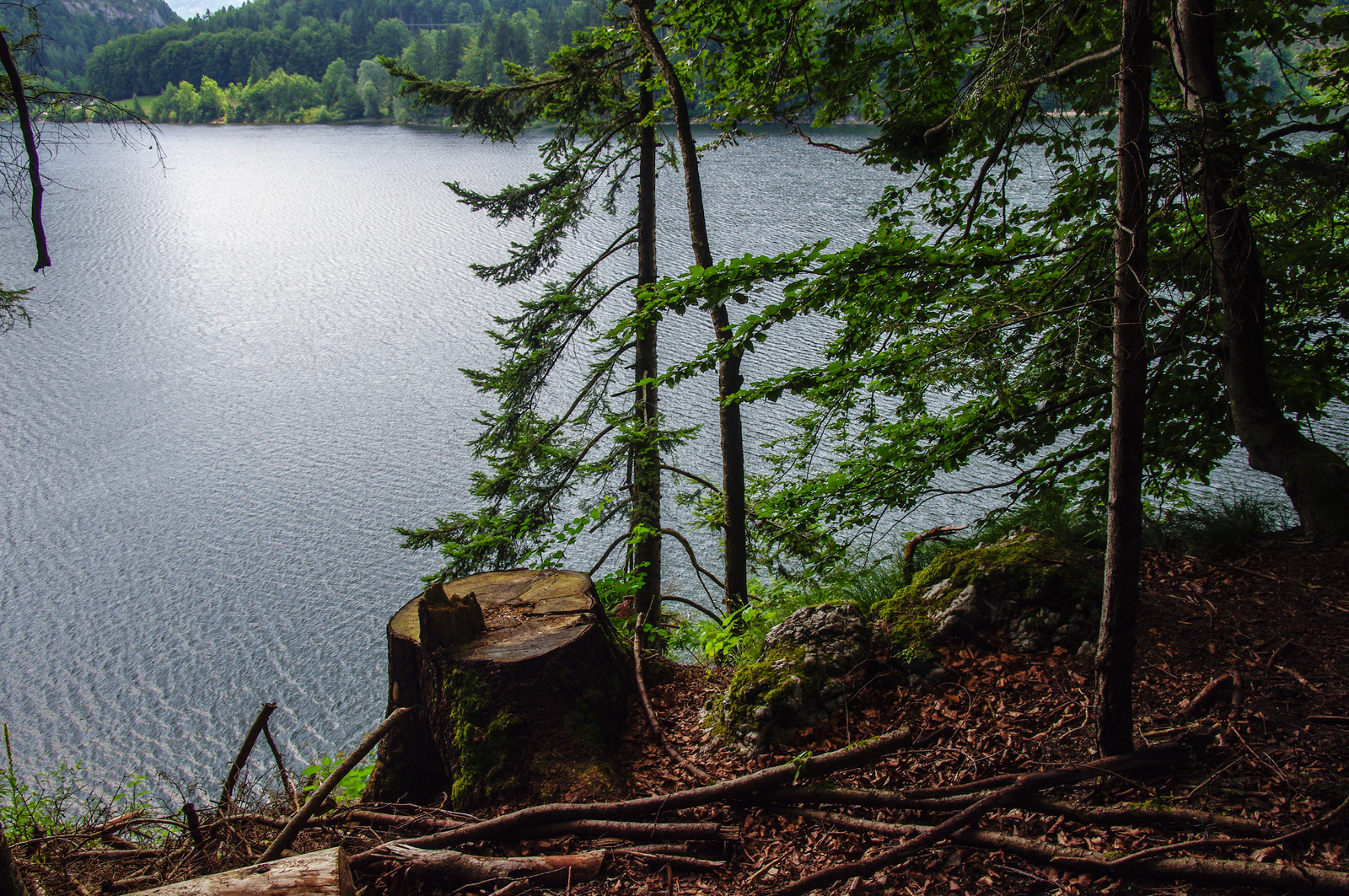 Schwarzensee