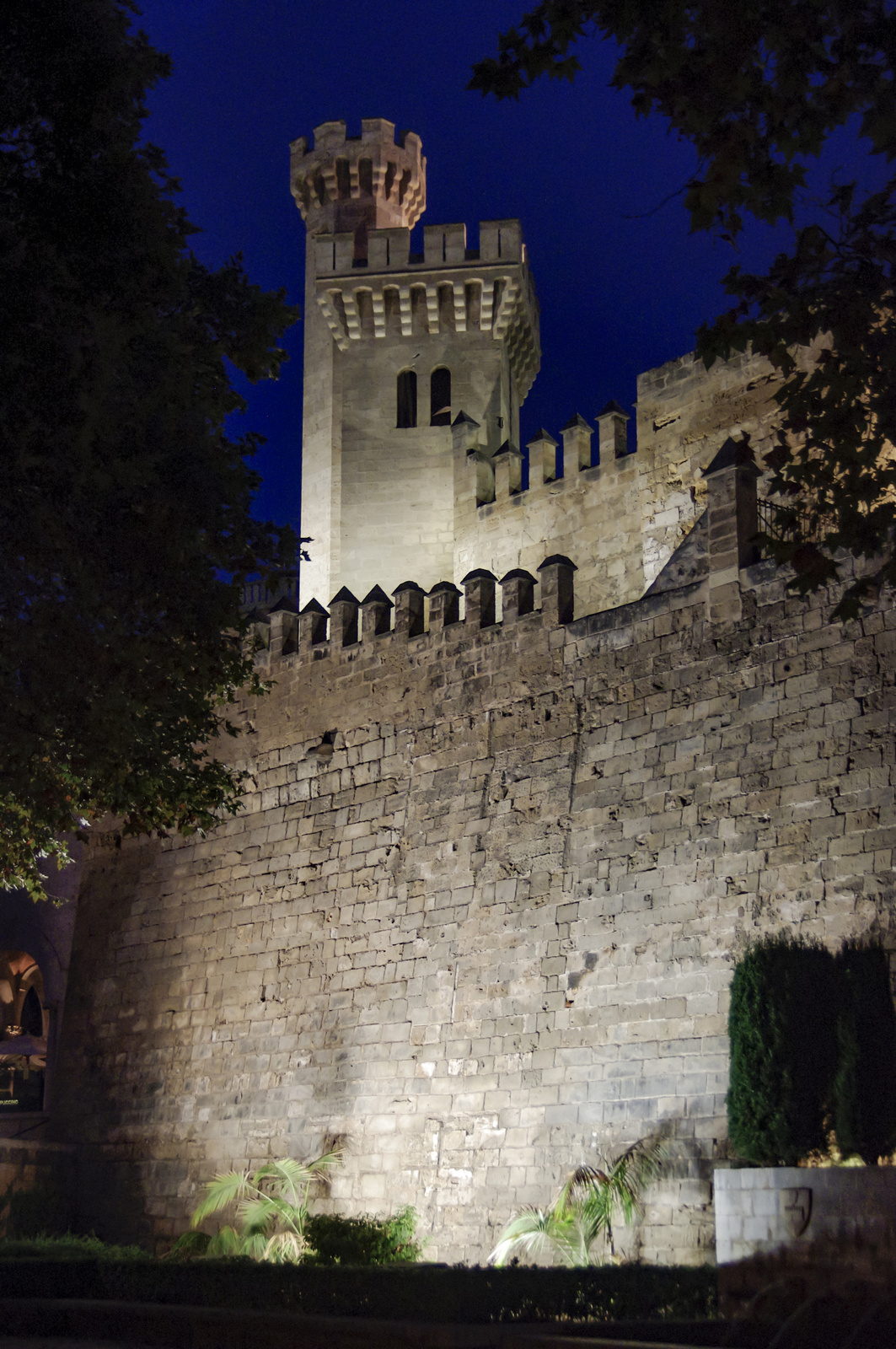 Palau Reial de l'Almudaina IGP5646