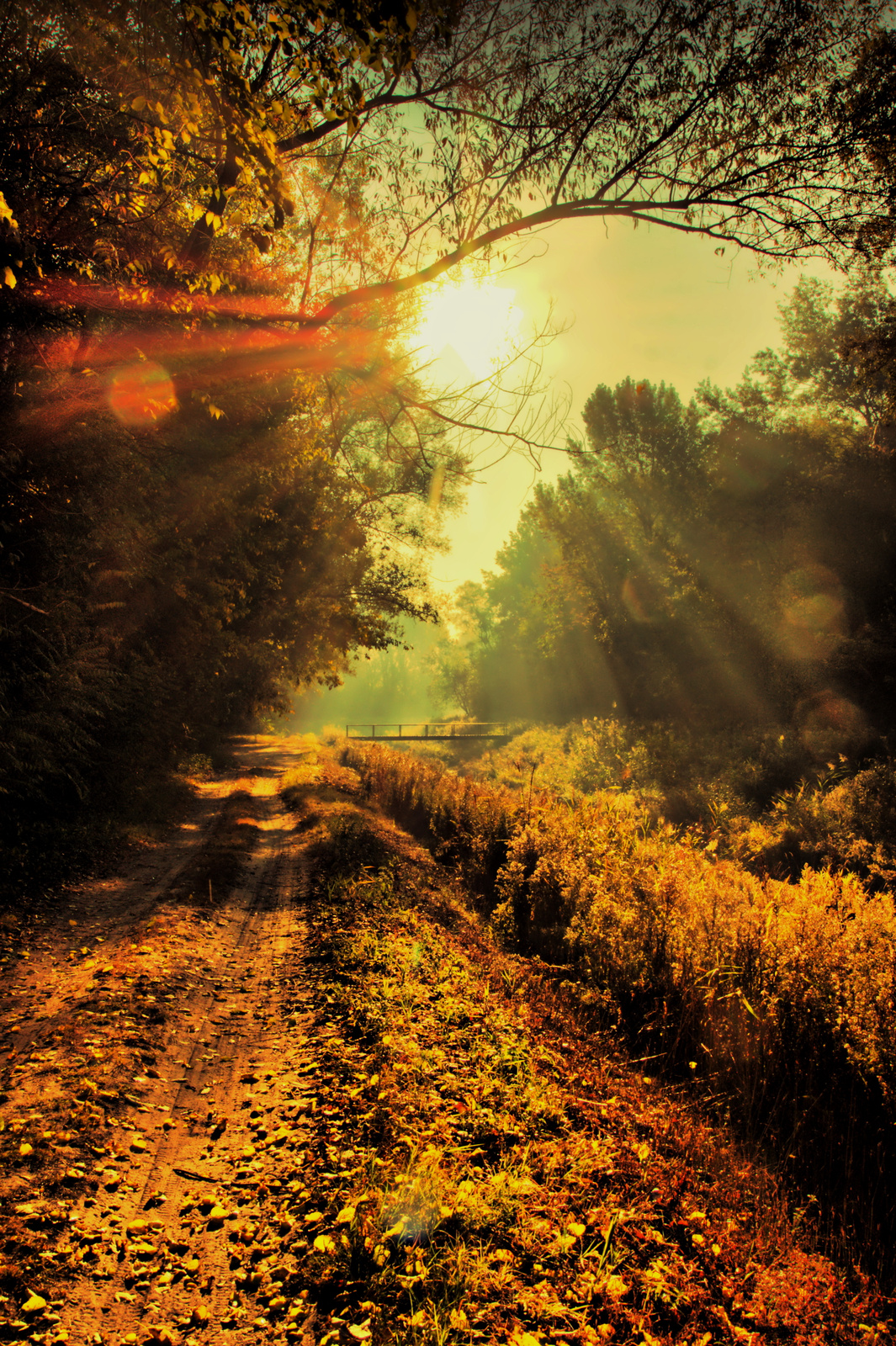 Sződliget-20 hdr