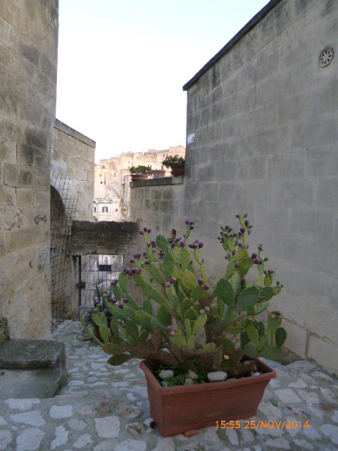 Matera (9)