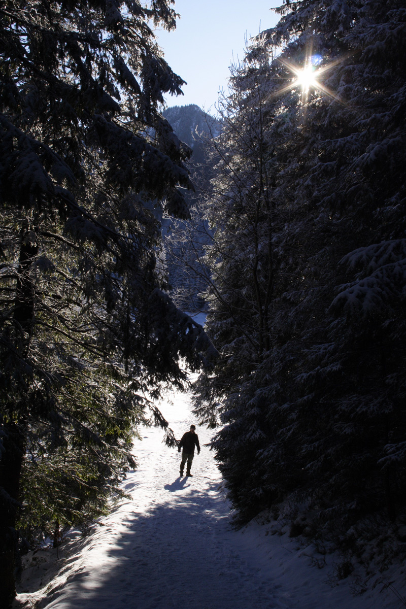 2010.01.Lengyel-Tatra-Monty03