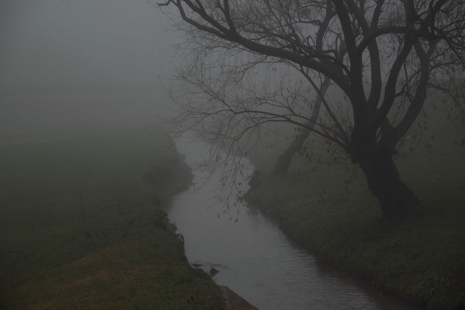 Ködbe vesző patak