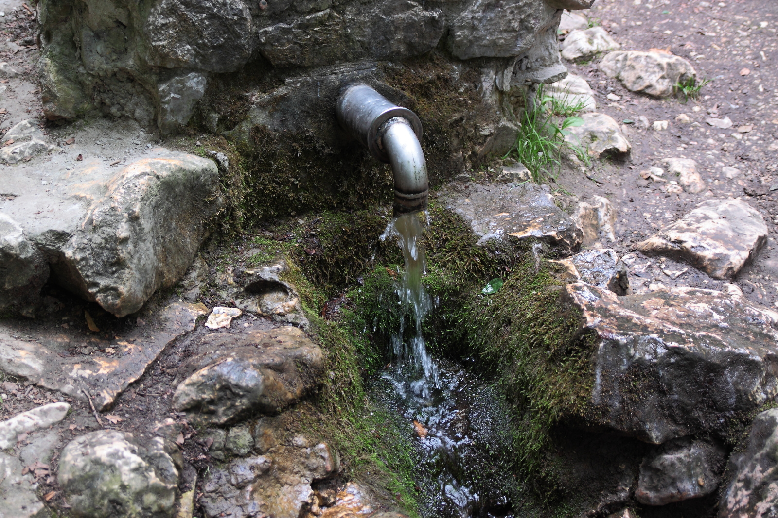 Elsődleges vízforrás - forrásvíz a Bakonyban