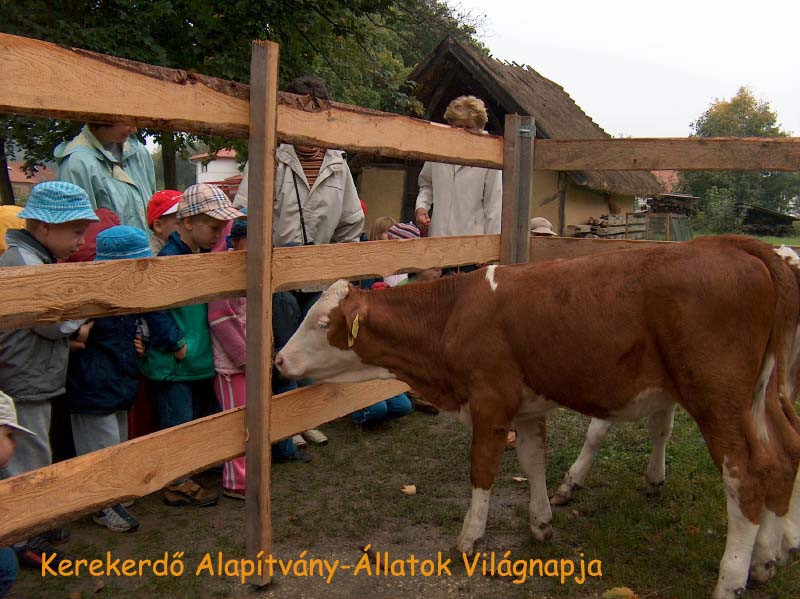 kerekerdő-állatok világnapja