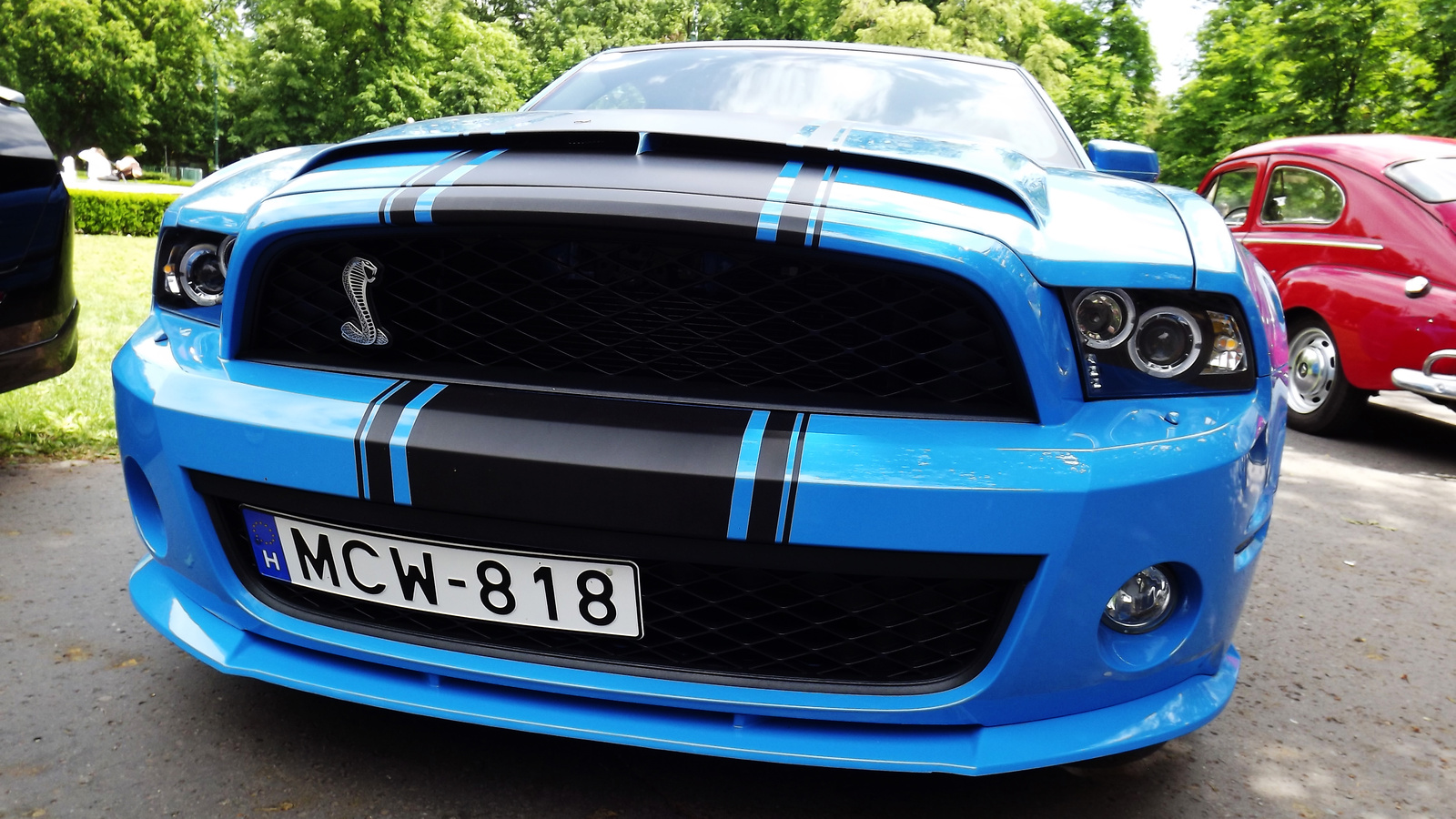 Shelby GT 500