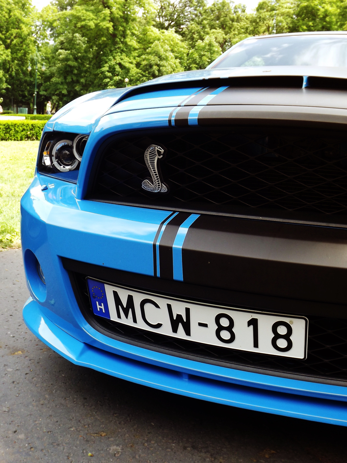 Shelby GT 500