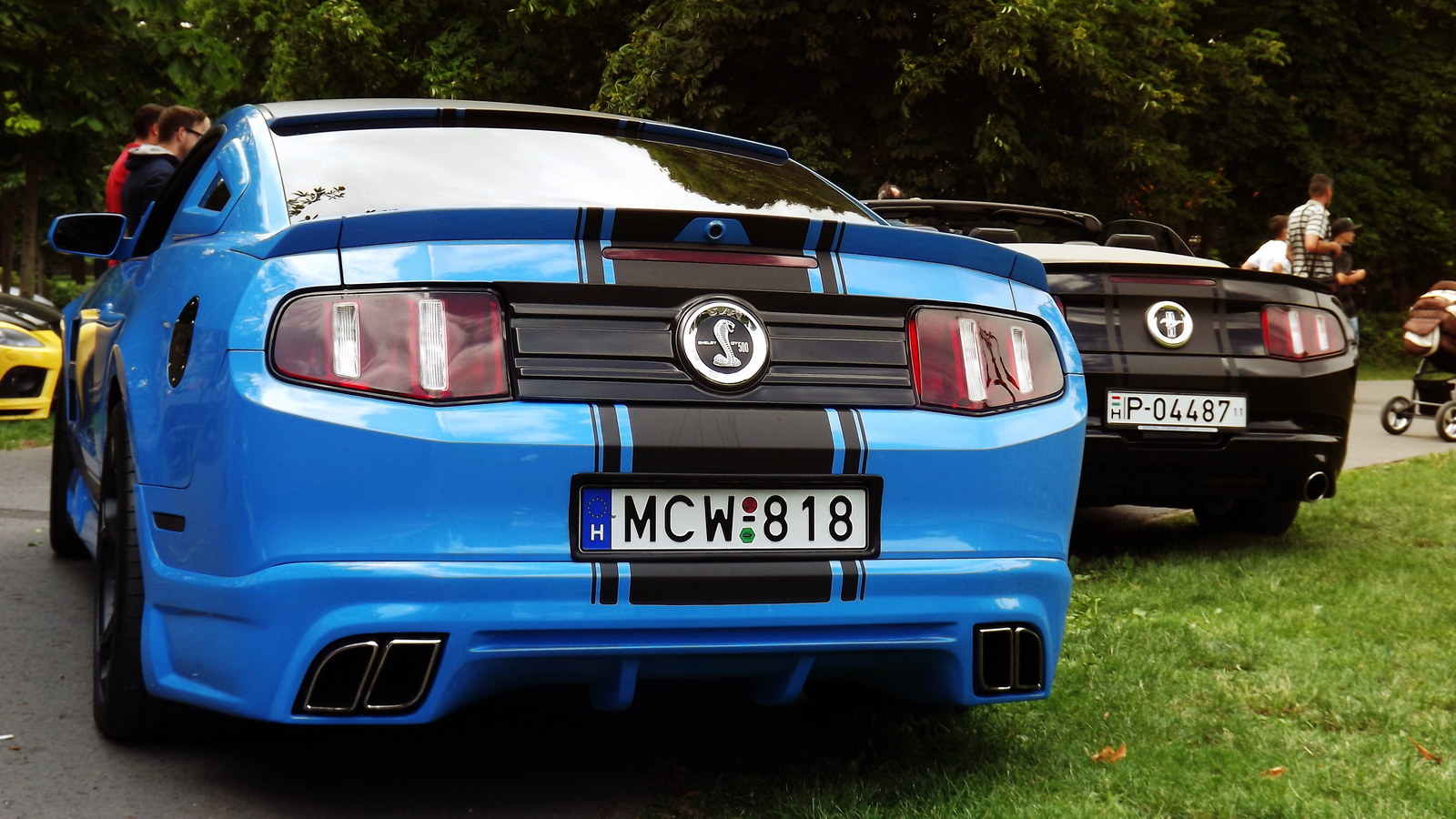 Shelby GT 500 and Mustang Cabrio