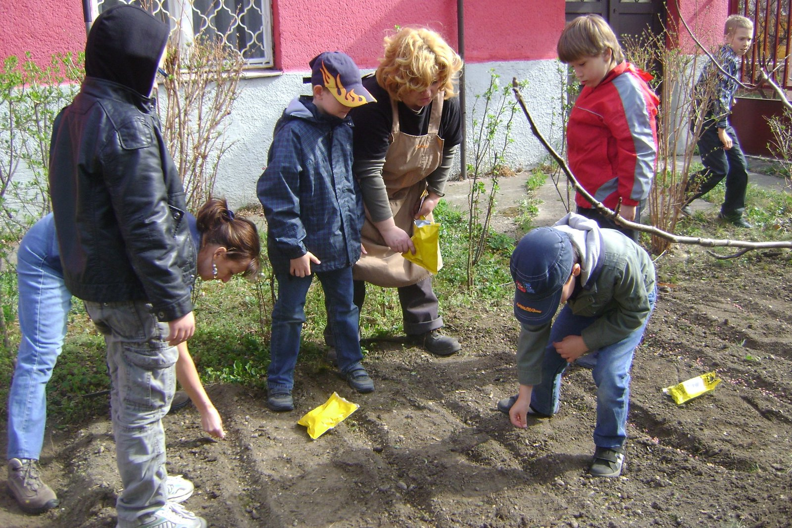 2011 2012 32 Kertészkedés 13