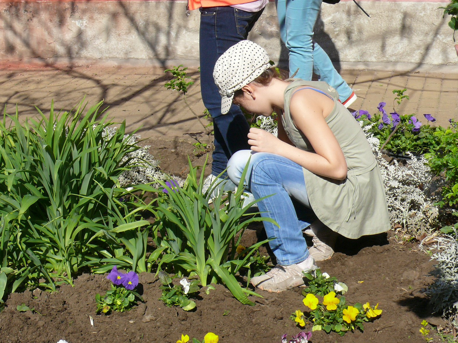 2012 2013 27 Virágültetés 015