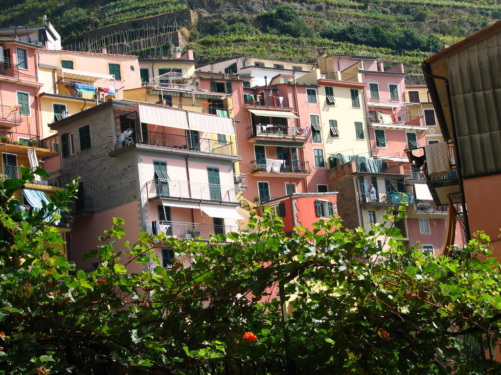 Manarola