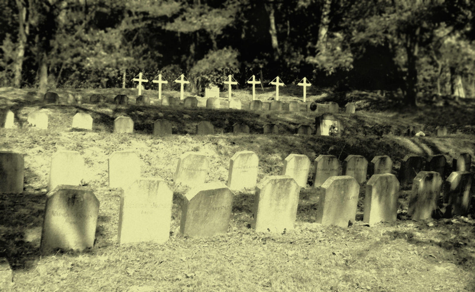 02. Hősi temető