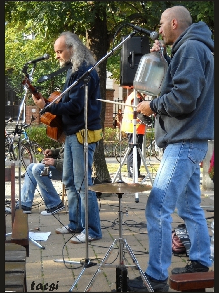 Crazy Daisy Jug Band