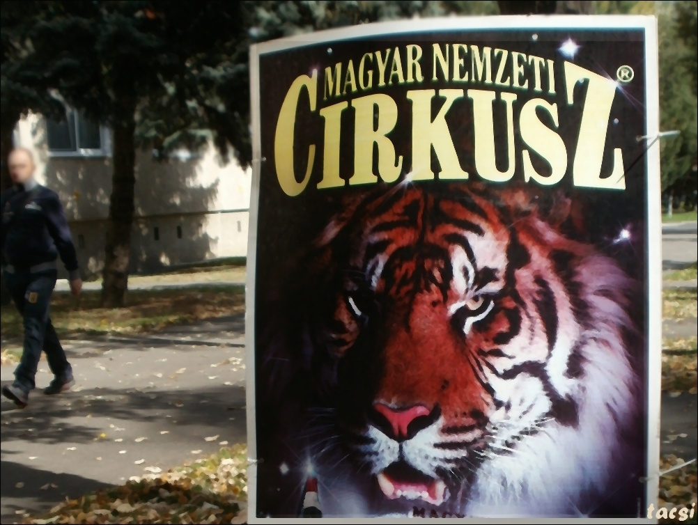Magyar Nemzeti Cirkusz