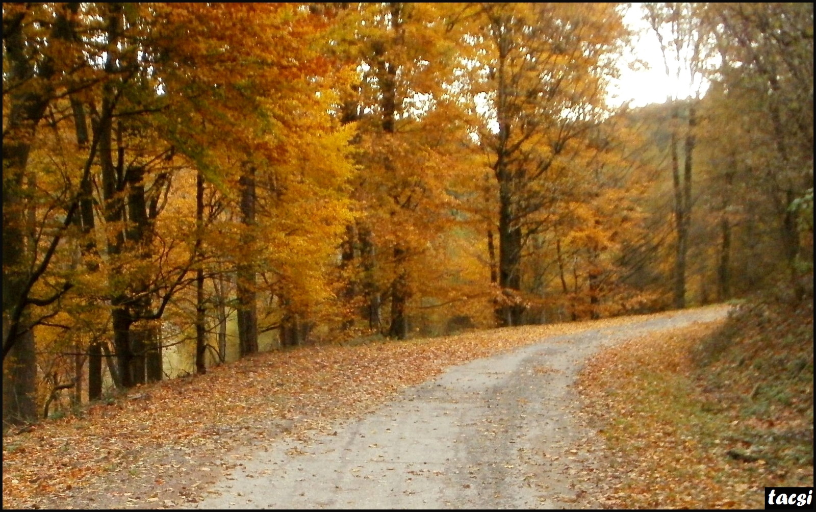 Varázslatos ősz