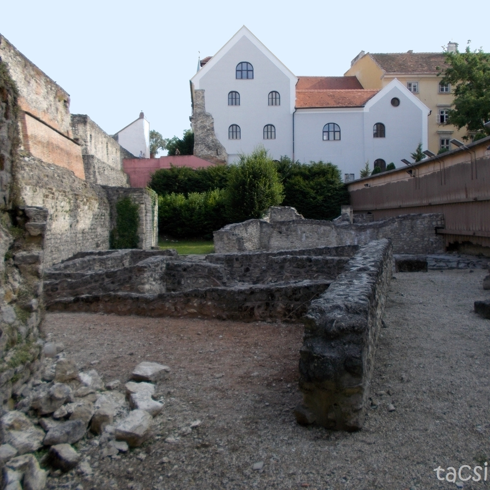 Castrum a várfalnál 2013.06.28.