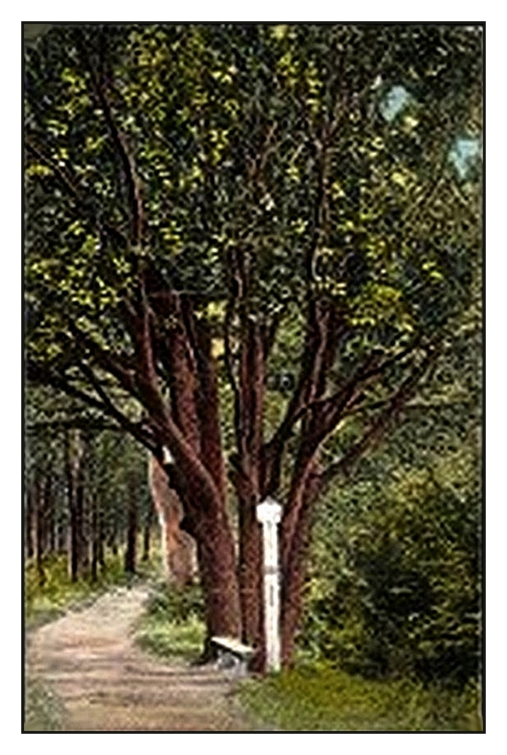 Hétbükkfa valamikor - régi képeslap