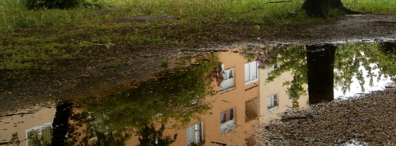 Májusi eső után - pocsolyafotó