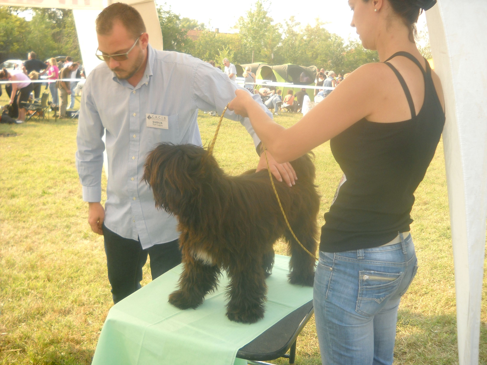 2011.09.18.Bačka Topola CACIB Tibeti Terrier biralatok 04