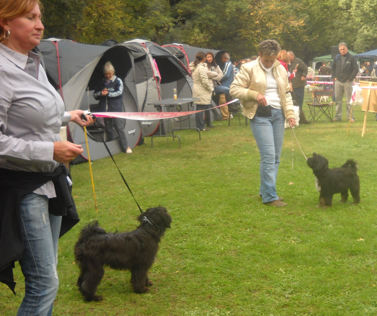 2011.10.08.TTT Speciális CAC baby összevetés 01