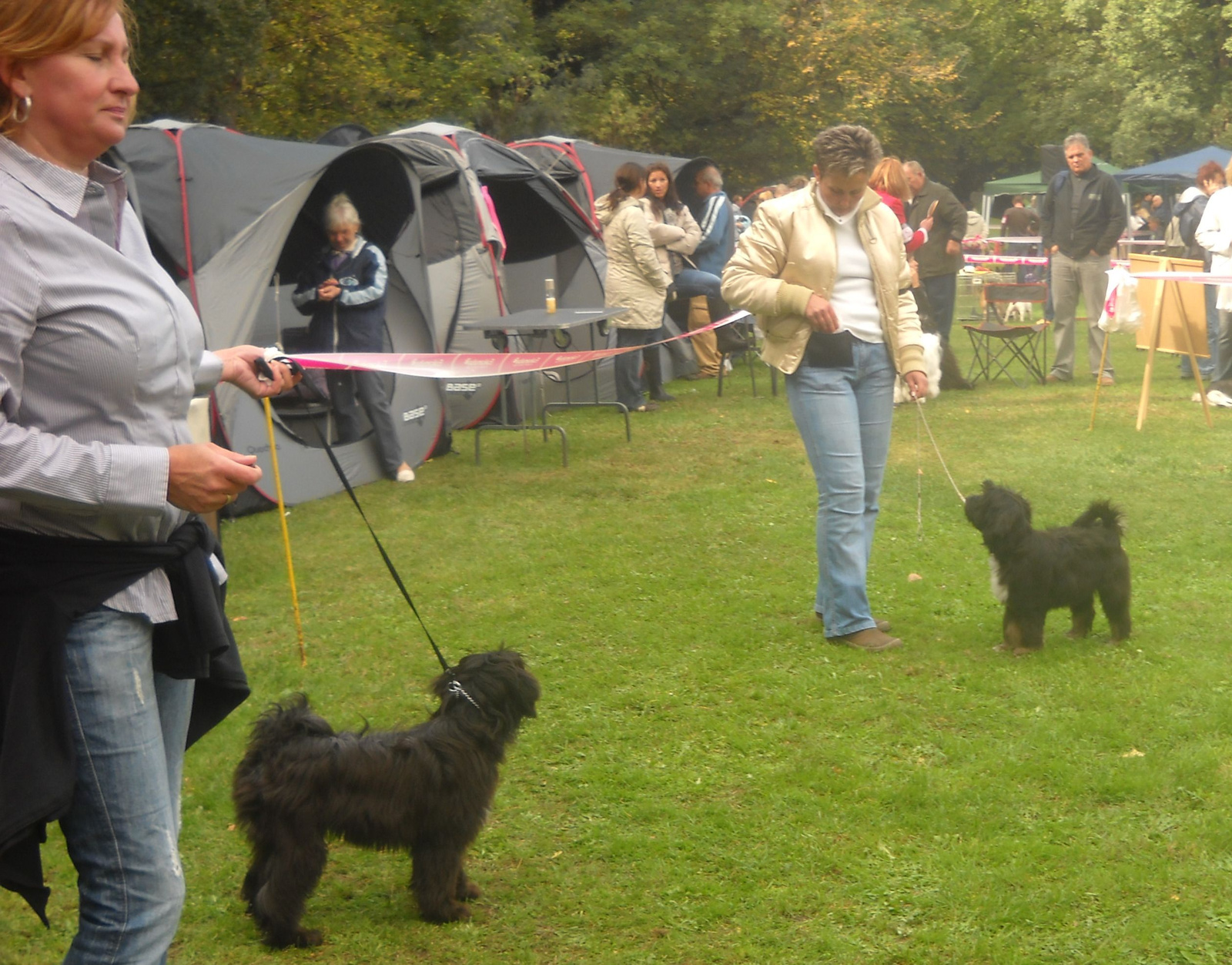 2011.10.08.TTT Speciális CAC baby összevetés 08