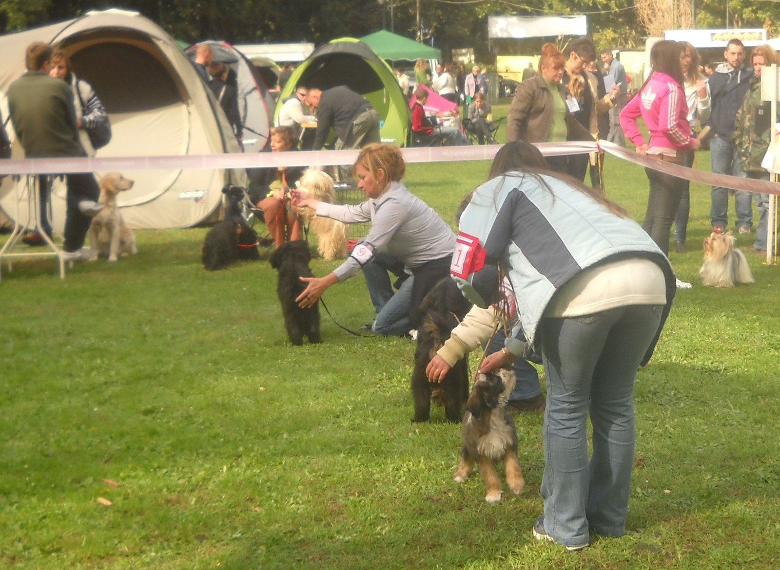 2011.10.08.TTT Speciális CAC baby összevetés 14