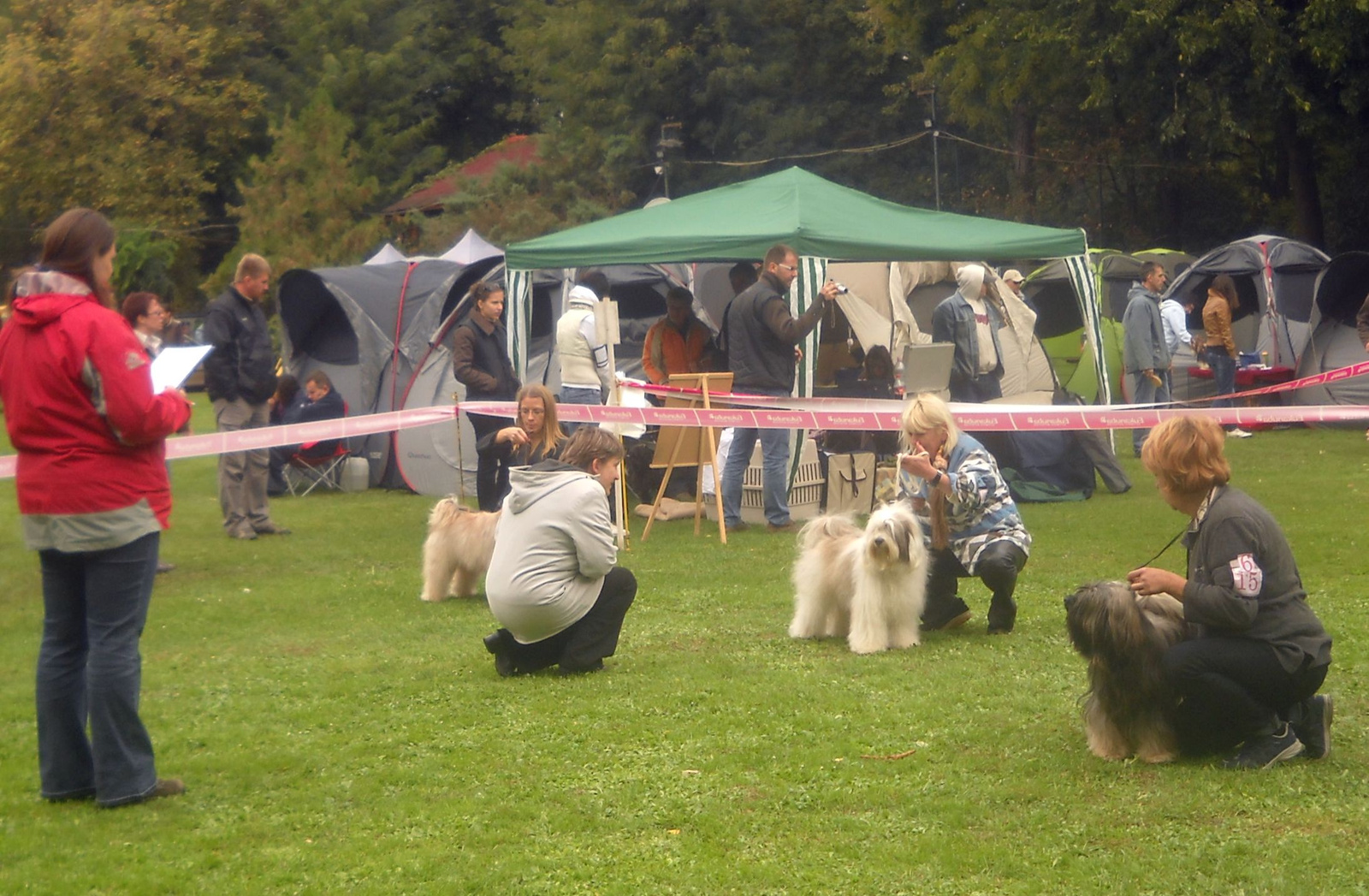 2011.10.08.TTT Speciális CAC összevetés a Legszebb Kan címért. 0