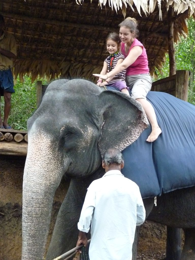 Indiai elefánt - 15