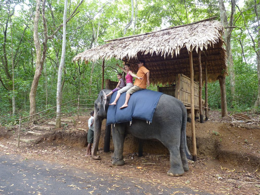 Indiai elefánt - 25